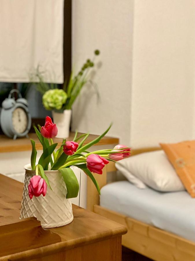 Ferienwohnung Am Weinberg Meißen Exteriör bild