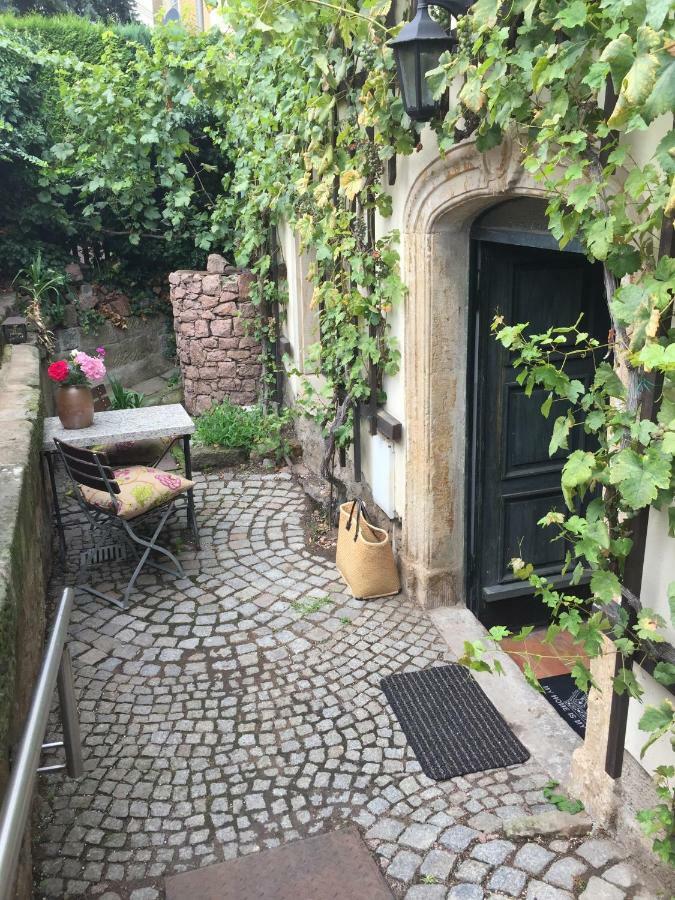 Ferienwohnung Am Weinberg Meißen Exteriör bild